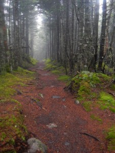Appalachian Trail in Maine